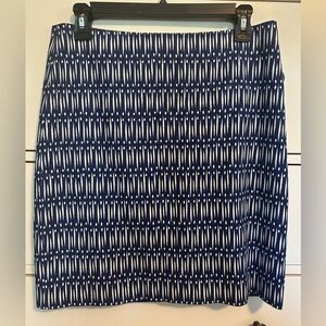 Ann Taylor Skirt